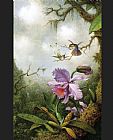 Two Hummingbirds with a Pink Orchid by Martin Johnson Heade